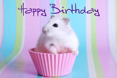 Happy Birthday (8)