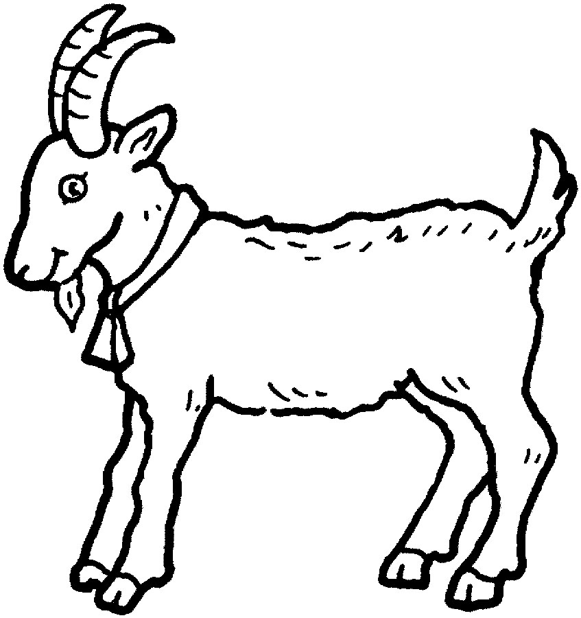 animal coloring pages