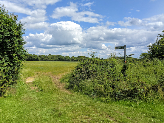 Great Gaddesden footpath 43 off Gaddesden Row - point 6