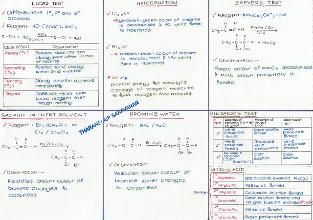 assignment chemistry sk025