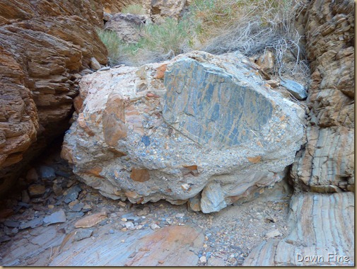 mosaic canyon_114