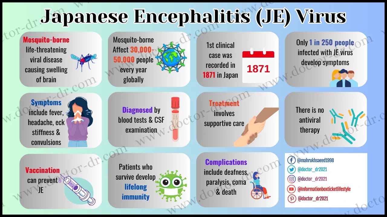 The Japanese Encephalitis (JE) Virus: An Overview