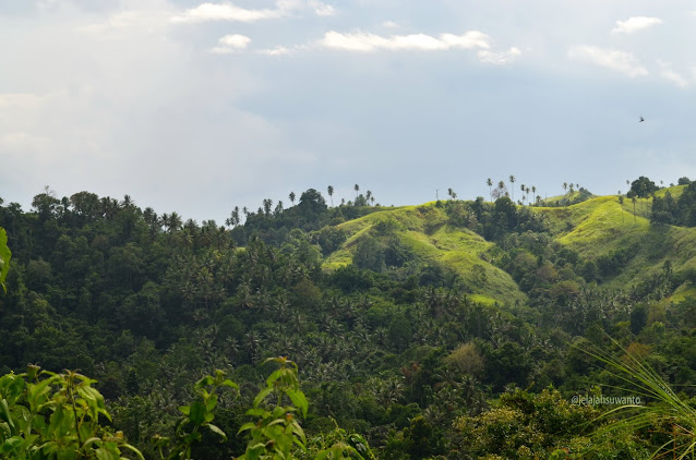 Bukit-bukit hijau merona di sepanjang pesisir Minahasa | © jelajahsuwanto