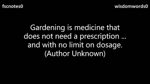 Gardening is medicine that does not need a prescription ... and with no limit on dosage. (Author Unknown)