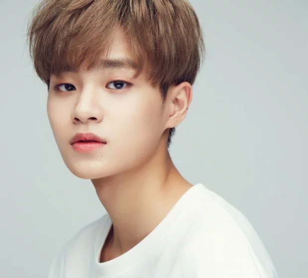 Lee Dae Hwi, Biodata Lee Dae Hwi, Profile Lee Dae Hwi, Daehwi profile, Fakta lee daehwi, Foto lee daehwi, 이대휘,