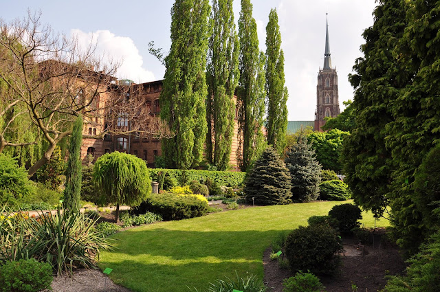 park, Wrocław, drzewa, budynek, zieleń