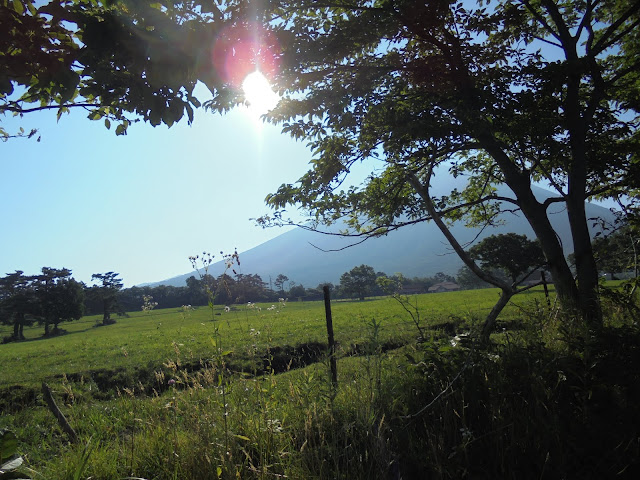 大山牧場と大山の眺望