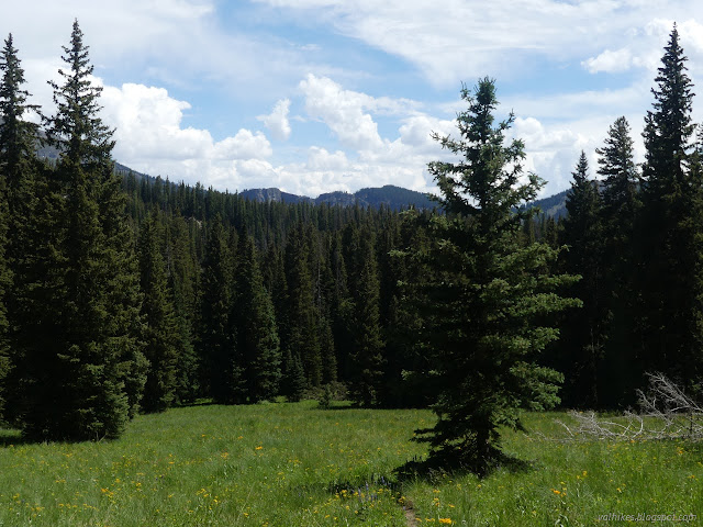 197: meadow and trees and peaks