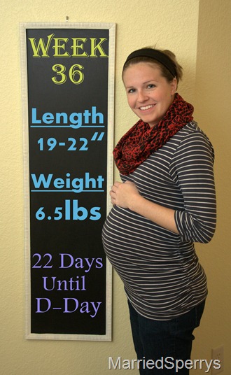 Baby_Bump_12_23_2012_1615.NEF