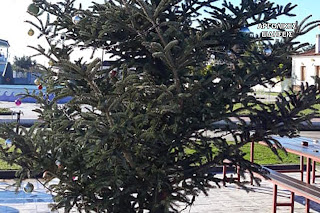 Έγινε και αυτό: Έκλεψαν τον στολισμό από το χριστουγεννιάτικο δέντρο στο Κουρτάκι του Άργους