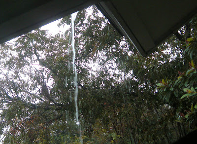 Annieinaustin, roof rain trough