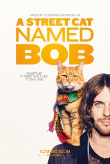 Chú Mèo Đường Phố Tên Bob - A Street Cat Named Bob 2016