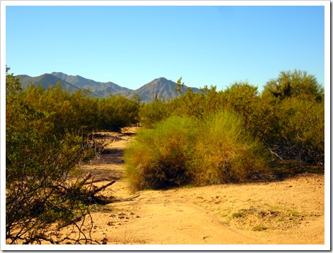 boondocking in AZ