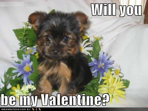 Happy Valentines Day! From our puppies: 2/24/10! Valentine Cards Send free 