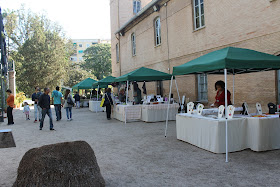 exposición orquídeas