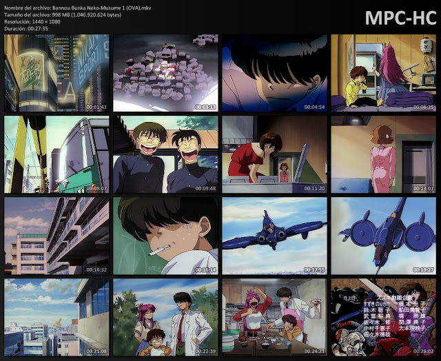 Bannou20Bunka20Neko Musume20120 OVA mkv thumbs - Bannou Bunka Neko-Musume (OVA) [1994] [MKV] [6/6] [5.86 GB] [Varios hosts]