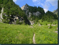 DSCN5361