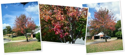View Oct 2010 Waco