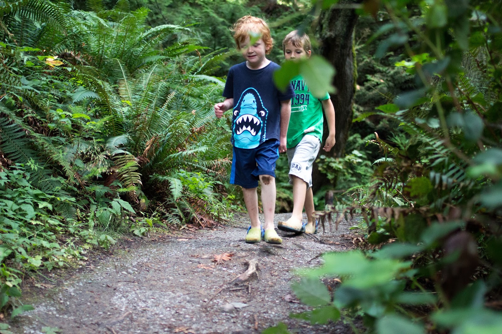 Larrabee State Park