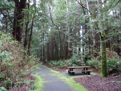 Trees in Northern California - To Be Replaced by Cactus after the Last one Burns - gvan42