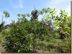 DSC06802