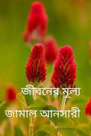 জামাল আনসারী