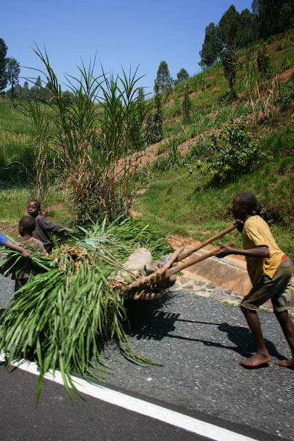 Rwanda 2013 © Juan Nel