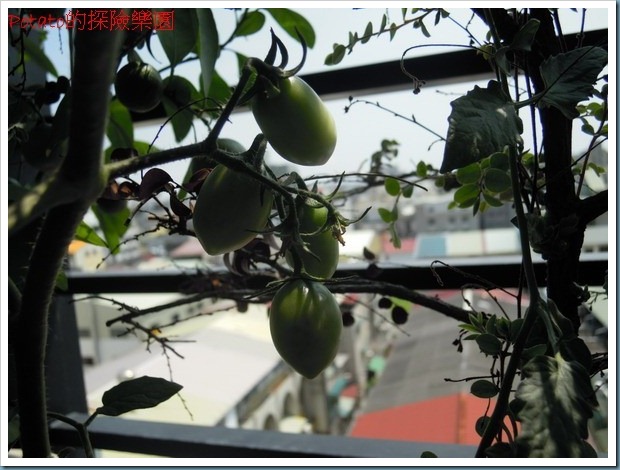 DSCN9078