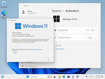 Windows 10 22H2.3930