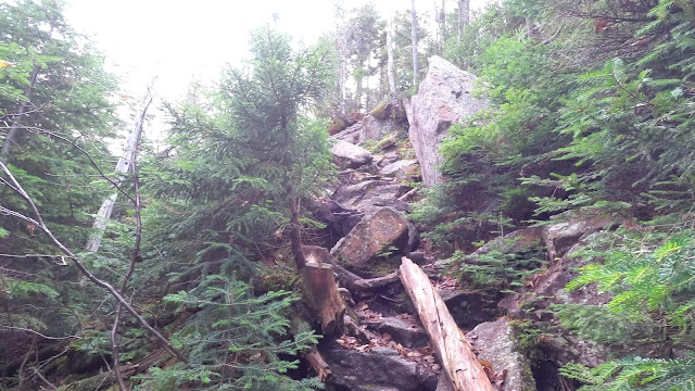 En direction du mont Haystack, sur la Shorey Short Cut Trail