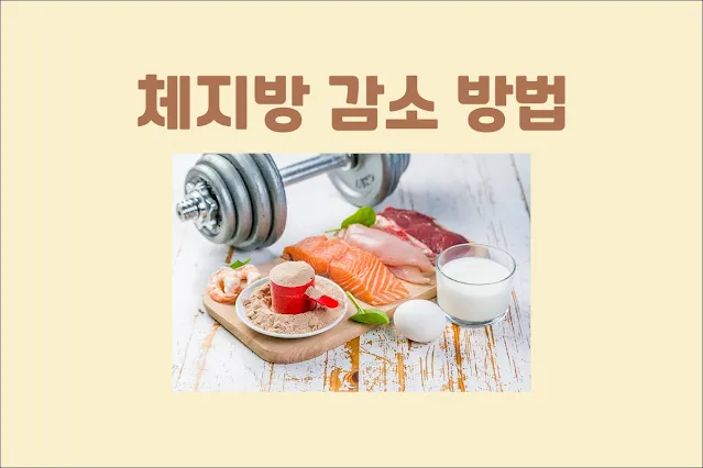단기간에-체지방-감소시키는-가장-좋은-방법