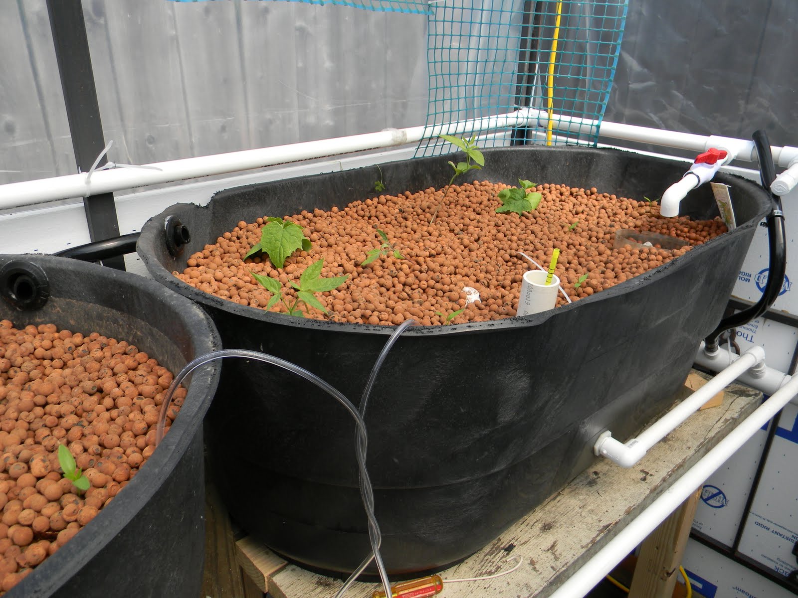 WolfenHawke1: Aquaponics Grow Beds and Media Stackup