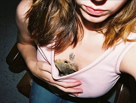 kitty-boob (10)