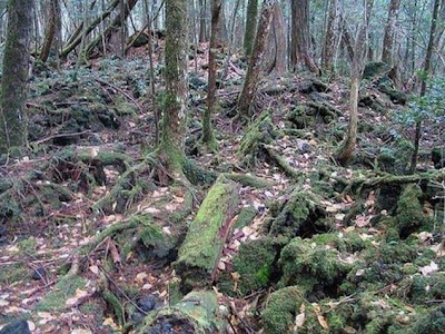 Aokigahara ghost 1 10 Tempat Paling Sering Dipakai Buat Mengakhiri Hidup