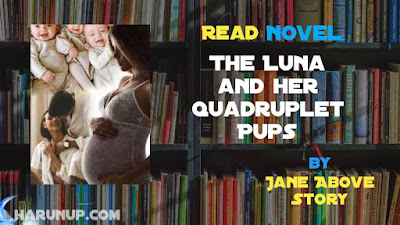 Read The Luna and her Quadruplet Pups Novel Full Episode