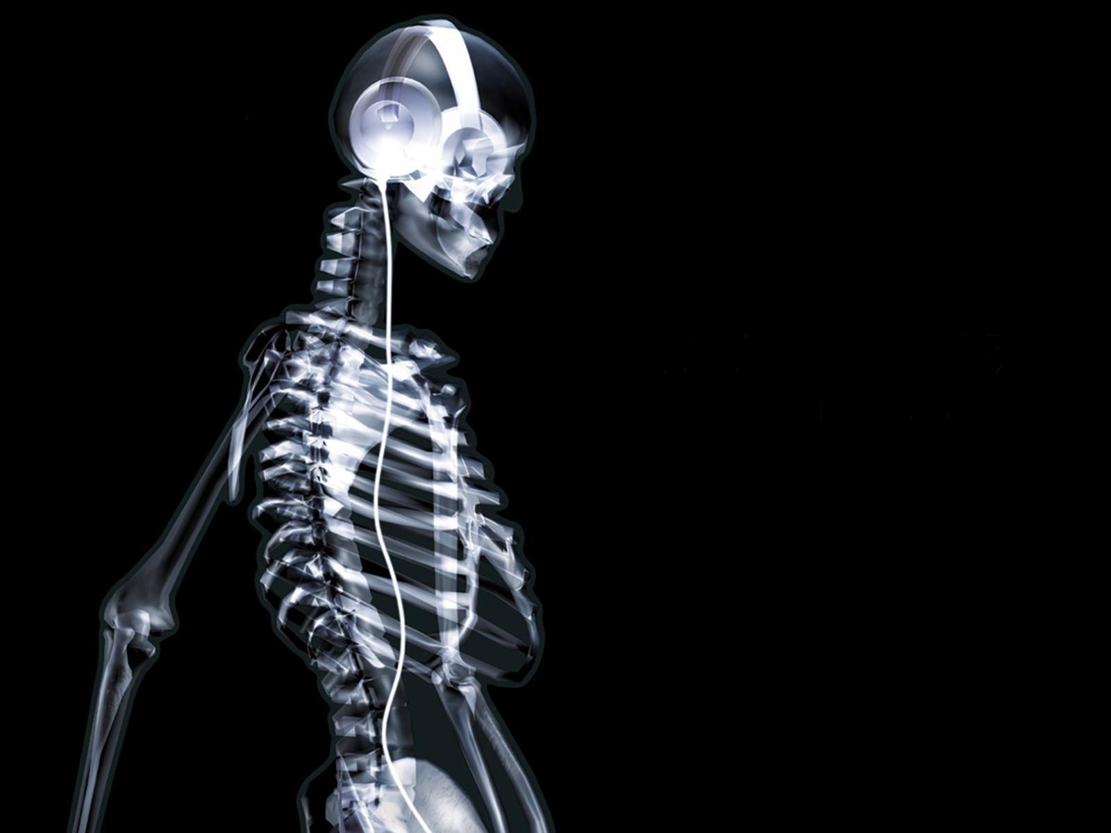 Hd Wallpapers City: Skeleton on X ray