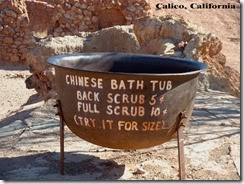 Calico3[1]