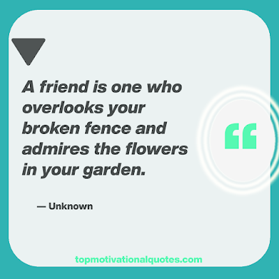 a friend is one who overlooks you - friend forever quotes