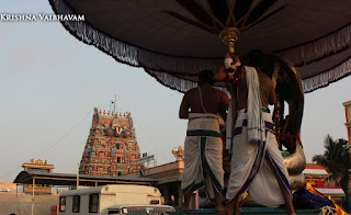 Aadi Sesha Vahanam,Purappadu, Brahmotsavam,Sri Parthasarathy Perumal,Chithirai, Triplicane,   Thiruvallikeni, Utsavam