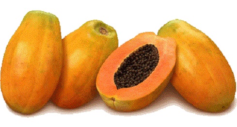 DRY SKIN CARE IN WINTER WITH PAPAYA