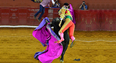 Sergio-Flores-Matador-Gored-Hard(1)