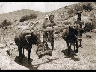 Το παραδοσιακό αλώνισμα στην Κρήτη βίντεο εποχής