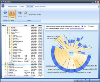  PerfectDisk Professional10