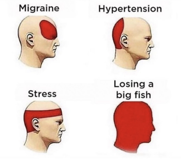 Fishing and Headache