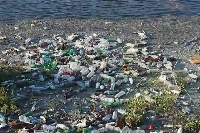 Nunca antes había aumentado tanto la contaminación por plástico en los océanos