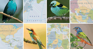 A Dc Birding Blog Book Note The Atlas Of Birds