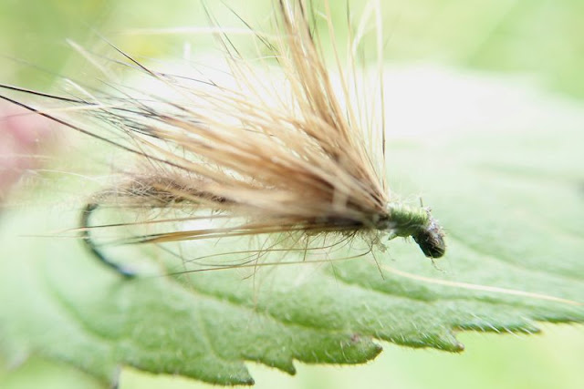 Quelles mouches pour la truite en Irlande