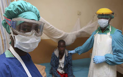 Lassa Fever Awareness Drive As Death Toll Rises