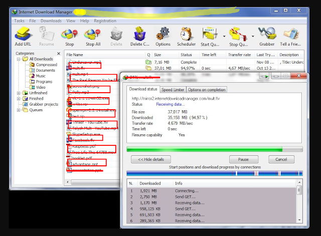 Download Internet Download Manager 6.31 Build 3