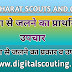 जलने के प्राथमिक उपचार || BURN || द्वितीय सोपान लॉगबुक ||DIGITAL SCOUTING || THE BHARAT SCOUTS AND GUIDES.